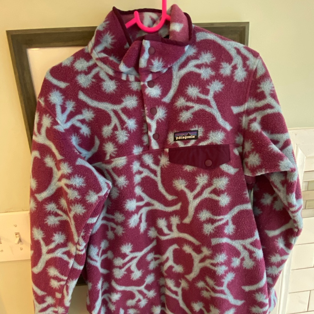 Patagonia Synchilla Sweater